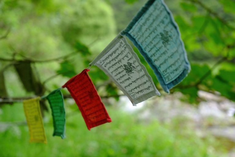 David – Fitness for life